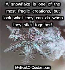 It all starts at the earth's surface, as water evaporates from oceans, rivers and lakes and rises. Snowflake Quotes About Uniqueness Quotesgram