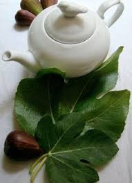 Pin On Fig Tree Cottage