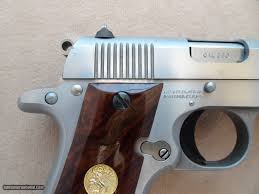 Image result for Medium Buckskin 1989 Colt