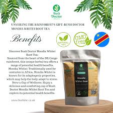 Image result for Mondia ecornuta