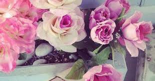صور جميله جدا خلفيات و رمزيات حلوة وجميلة ميكساتك plants rose flowers