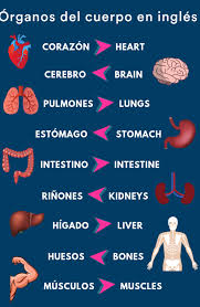 Pin En Ingles