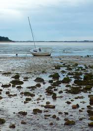 The gulf of morbihan is a veritable 'little sea' where legend says that in the 12,000 hectares opening into the atlantic one can count 365 islands. Maree Basse Dans Le Golfe Du Morbihan 56 France Bassin D Arcachon Bretagne Bretagne France