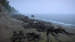 Welcome to misty Washington ! : r/PlanetZoo