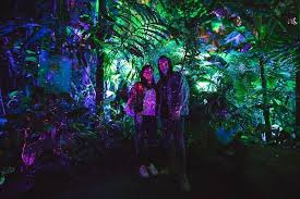 Conservatory of flowers light show. Night Bloom Lights Up At Conservatory Of Flowers 7x7 Bay Area
