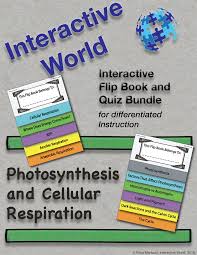 Bpiohloogtyo1synthesis cellular respiration answers biology 1. Light Dependent Reaction Pogil Answers Vtwctr