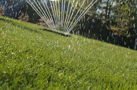 Enjoy your outdoor living space with a greener, healthier lawn. Should You Water Your Lawn More Often Green Lawn Fertilizing