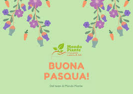 Codici promozionali mondo piante & offerte attuali : Mondo Piante Home Garden Store Terlizzi Facebook 2 369 Photos