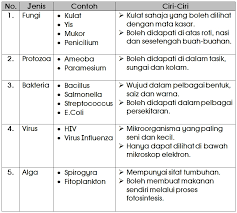 Nota sains tahun 5 mikroorganisma (unit 1) 1. Muat Turun Nota Sains Tahun 6 Yang Terhebat Untuk Para Murid Perolehi Pendidikan Abad Ke 21