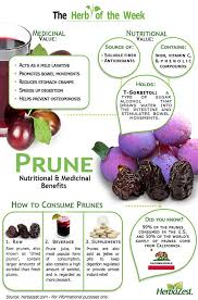 Infographic Prunes Coconut Health Benefits Fruit Health Benefits Matcha Benefits