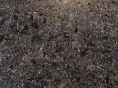 We did not find results for: Granite And Countertop Scratches Luxorgranite
