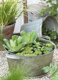 Check spelling or type a new query. 5 Mini Etangs Faciles A Realiser Femmes D Aujourd Hui