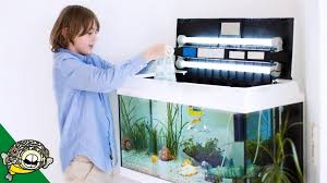 Maybe you would like to learn more about one of these? Learn About The Procedure Of Setting Up A 50 Gallon Aquarium Here Fishxperts