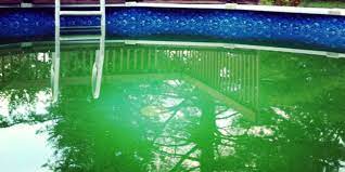 l eau de votre piscine est verte voila comment agir