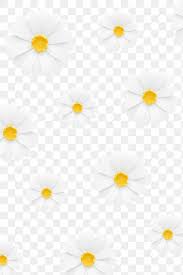 White Daisy Pattern Transparent Png Premium Image By Rawpixel Com Nam Pink Daisy Wallpaper Floral Banners Daisy Wallpaper