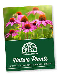 From $19.99 · same day delivery · 20% off all items Native Plants Of Cape Cod Crocker Nurseries
