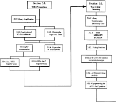 two hybrid system flow chart the ths flow chart displays