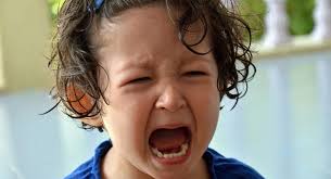 Then suggest that she take a deep. What To Do When Your Toddler Screams Babycentre Uk
