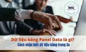 Dữ Liệu Bảng (Panel Data) là gì? Hiểu Sâu Cách Khai Báo Trong STATA Full  Chi Tiết 2023