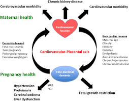 History of preeclampsia.a personal or family history of preeclampsia significantly raises your risk of preeclampsia. Cardiovascular System In Preeclampsia And Beyond Hypertension