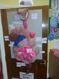 3d Digestive System Digestive System Project Digestive System Human Body Activities