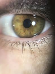 Dark Winter Eye Hazel Eyes Green Eyes Dark Winter