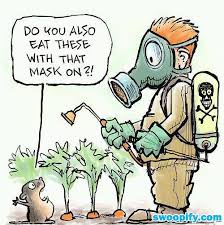 Do You Eat These With The Mask On Humor Lol Funny Organic Recipes Food Matters Gmo Facts