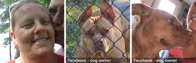 2021 Fatal Dog Attack Breed Identification Photographs