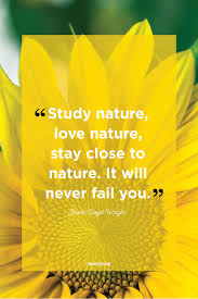 Nature's first green is gold, her hardest hue to hold. 58 Best Nature Quotes Inspirational Sayings About Nature