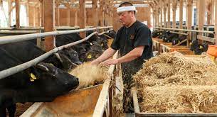 The Secrets Behind Kobe Beef