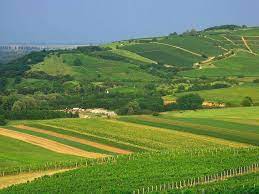 Pictures of landforms of hungary. Tokaj Wine Region Historic Cultural Landscape Hungary Tripomatic Cultural Landscape Wine Region Landscape