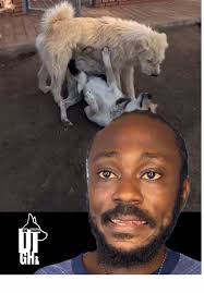 Between you and your dog, who is alpha??? 🧐 #dogtrainergh #dogtraining  #doglover #dogsoftiktokviral #petlovers #