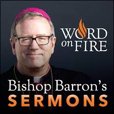 Bishop Robert Barron Word On Fire Bishop Robert Barron S Sermons Catholic Preaching And Homilies In 2020 Bishop Barron Word Of God Sermon