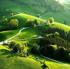 Natural Lover Natureextent Instagram Photos And Videos Nature Photography Beautiful Nature Nature Pictures They may be a forest dweller … nature photography