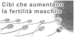 Manca ancora una cultura della salute riproduttiva. Spermiogramma Valori Migliori Con La Dieta