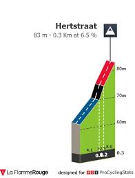 La flèche brabançonne 2021 est la 61e édition de cette course cycliste masculine sur route. Profiles Procyclingstats