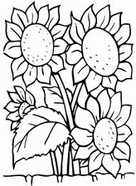 Flowers Free Printable Coloring Pages For Kids In 2020 Sunflower Coloring Pages Printable Flower Coloring Pages Sunflower Colors