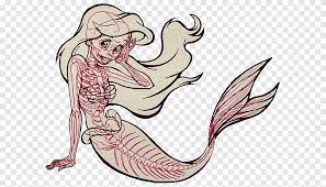 Kaos mewarnai princess ariel tangerang jualo. Kartun Ariel Drawing Character Ekor Putri Duyung Komik Buku Komik Png Pngegg