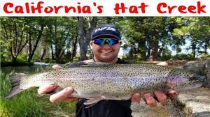 Hat Creek Trout Fishing Trout Fishing Fish Trout
