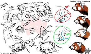 How To Draw A Red Panda Google Search Red Panda Cat Anatomy Panda Sketch