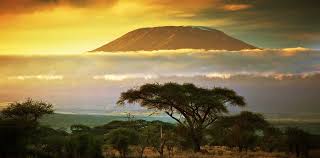 Attending both in person and on twitch, the congregation marched to lion's rest where they took turns sharing stories and saying goodbye to a pillar of the wow and cosplay. Mount Kilimanjaro Machame Miyar Adventures