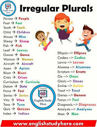 The plural of a noun typically denotes a quantity greater than the default quantity represented by that noun. Irregular Plural Nouns You Have To Know