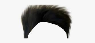 Zip file picsart background hair png. Part2 New Hd Cb Hair Png Zip File Free Download Hair Png For Men Png Image Transparent Png Free Download On Seekpng