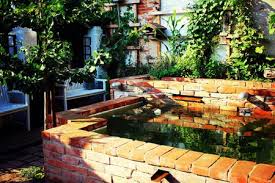 Natural Mosquito Control Through Smart Landscaping