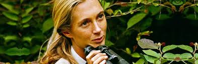 Jane: Retrato íntimo