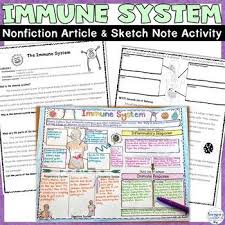 Immune System Nonfiction Article And Sketch Note Activity For Human Body In 2020 Nonfiction Articles Immune System Lesson Body Systems Unit