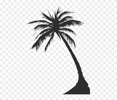 Download in under 30 seconds. Free Tree Silhouette Png Download Clip Art Coconut Trees Silhouette Png Transparent Png 900x700 738579 Pngfind