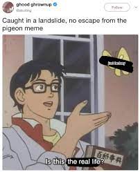 The Is This A Pigeon Meme Format Is Hilarious Here Are 19 Examples That Ll Make You Lol Memes Fun Quotes Funny Funny Joke Quote