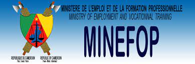 We did not find results for: Ministere De L Emploi Et De La Formation Professionnelle Minefop Videos Facebook