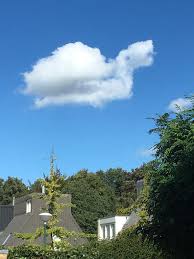 It was last played february 21, 2020, which was 2 shows ago. This Turtle Shaped Cloud Mildlyinteresting